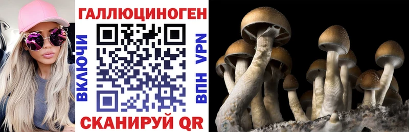 мега онион  Трёхгорный  Галлюциногенные грибы прущие грибы 